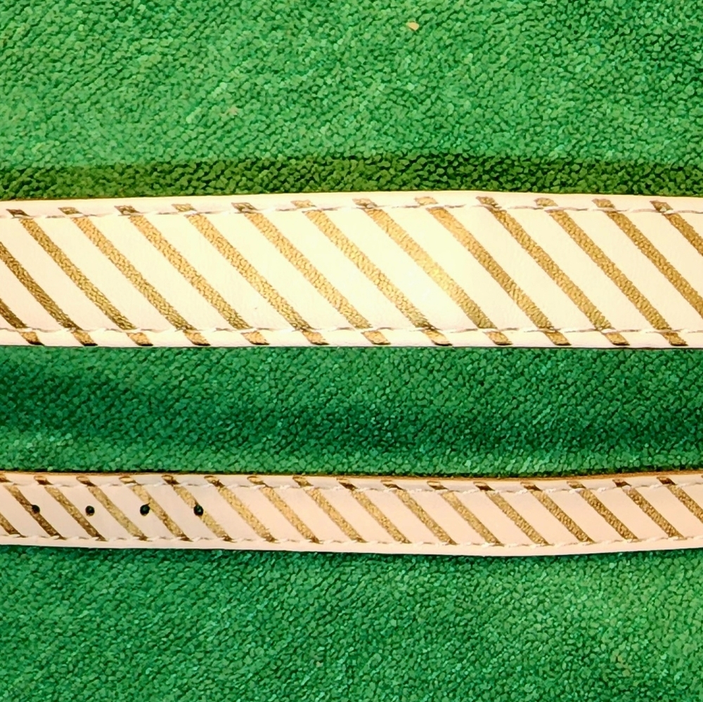 A SPECIAL FRIENDSHIP DOG COLLAR (11 to 14 inch) & Friendship Bracelet - Picture 7 of 12